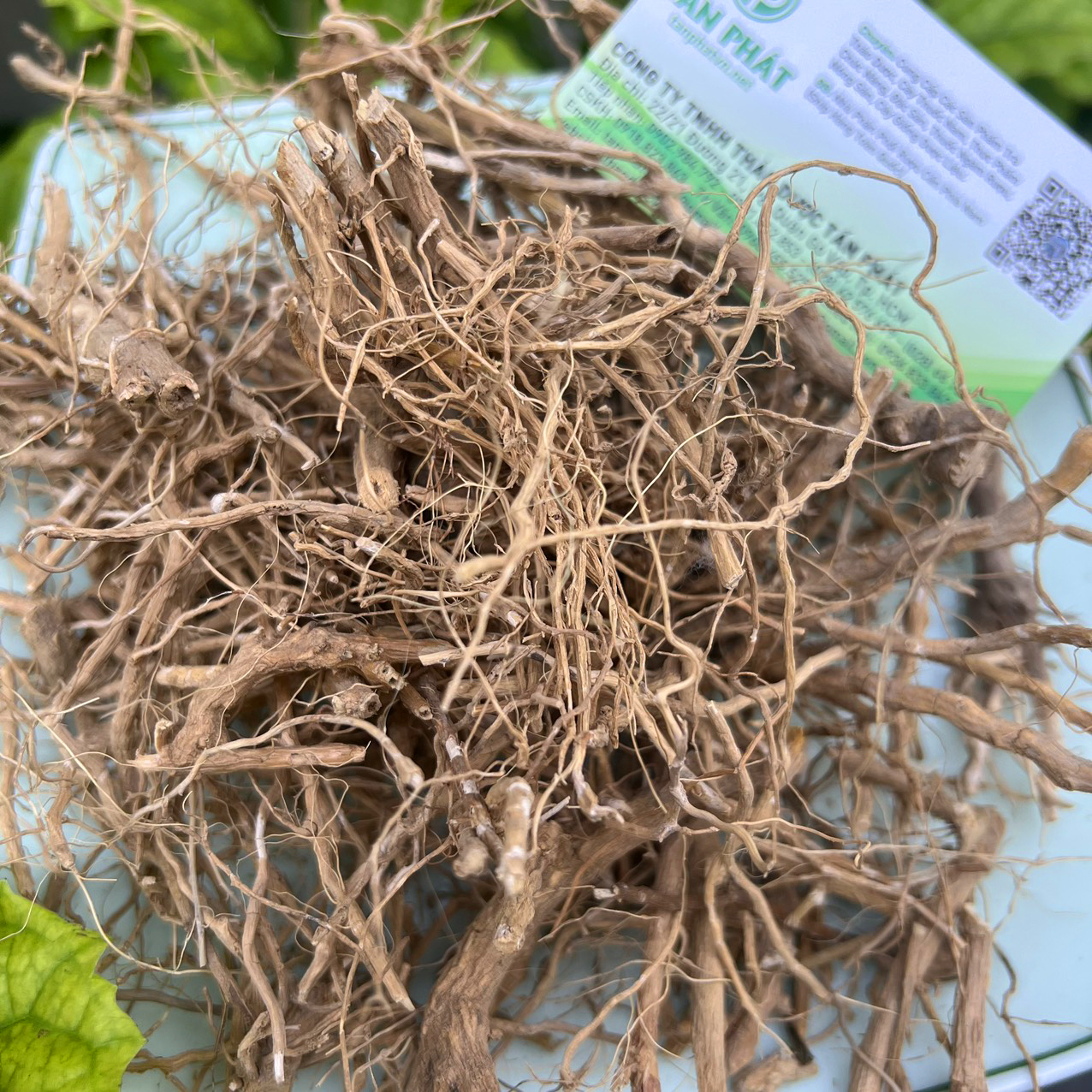 Rễ cà gai leo khô 1kg - Hàng sạch thơm cao cấp chuyên dùng để sắc nước và pha trà - Thảo Dược Tấn Phát