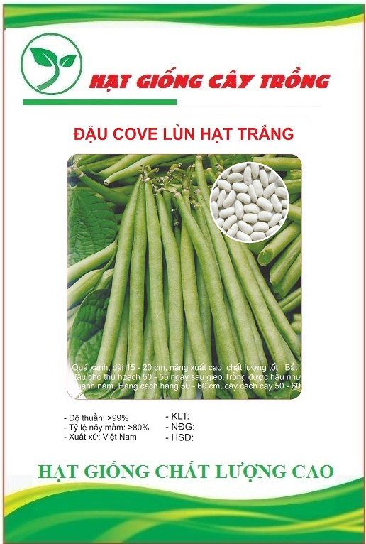 Hạt giống đậu cove hạt trắng dạng bụi - Gói 10gram