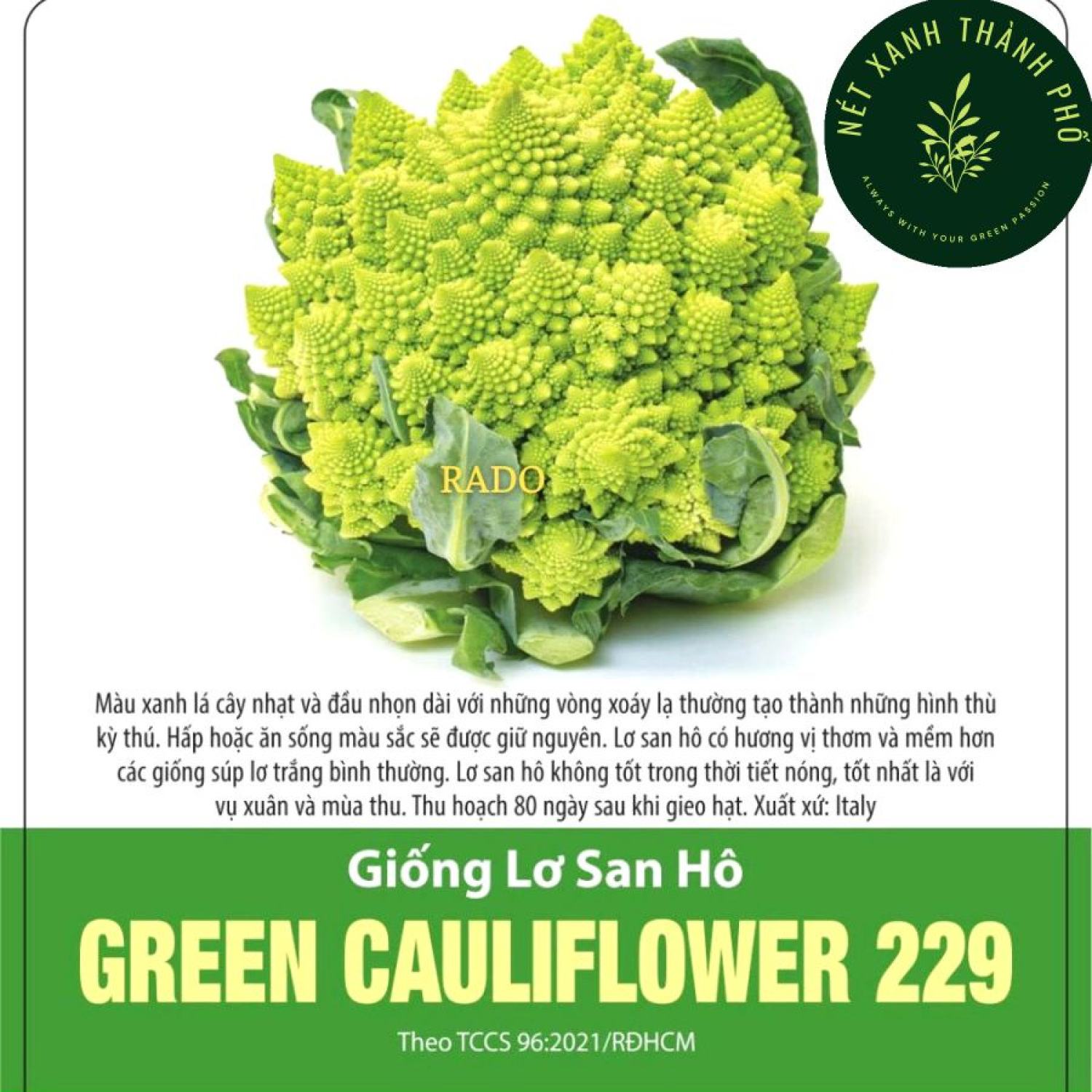 Hạt giống Súp Lơ San Hô