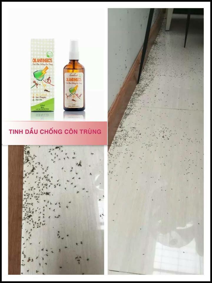 Tinh dầu chống muỗi,kiến ba khoan,gián