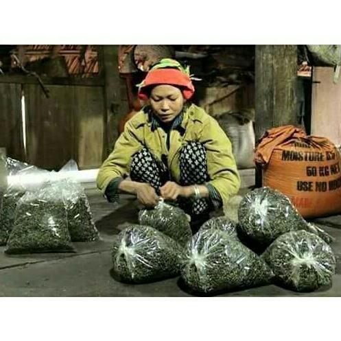 set 3 lọ thuốc diệt kiến gián côn trùng
