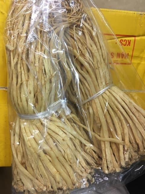 100g đẳng sâm rừng