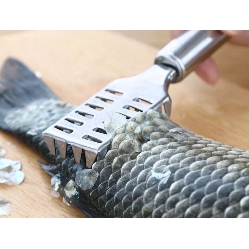 Dụng Cụ Lóc - Đánh Vảy Da Cá Bằng Inox Siêu Bền