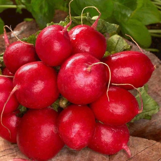 150 Hạt Giống Củ Cải Cherry Đỏ