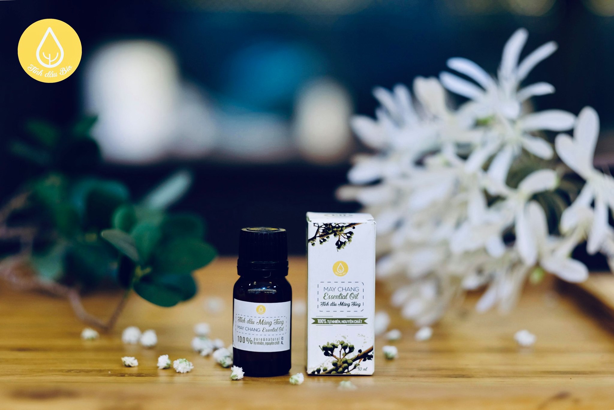 TINH DẦU ĐÈN XÔNG - TINH DẦU XÔNG PHÒNG
