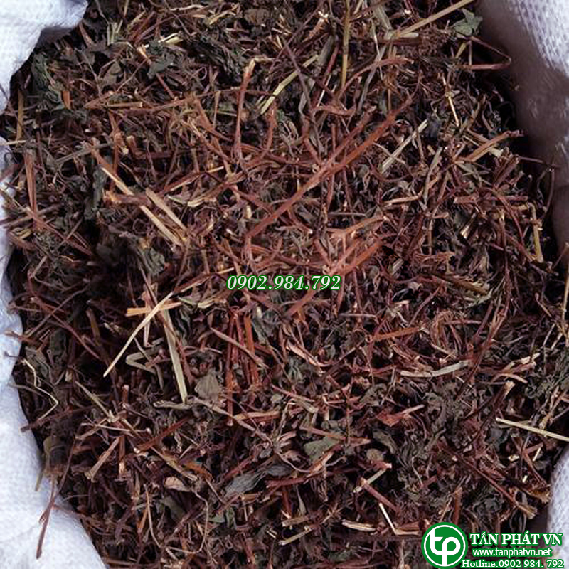 [Hàng Mới Về] Cây bọ mắm sấy khô túi lớn loại 500g - Taphaco