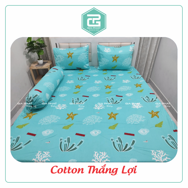 Bộ ga gối Thắng Lợi {4 món} 100% Cotton chuẩn logo họa tiết Sò Biển