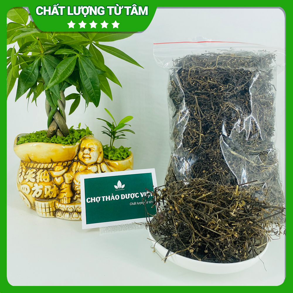 Bán chi liên khô 1kg, hỗ trợ phòng ngừa ung thư, tiêu u, giải độc, tốt cho sức khoẻ