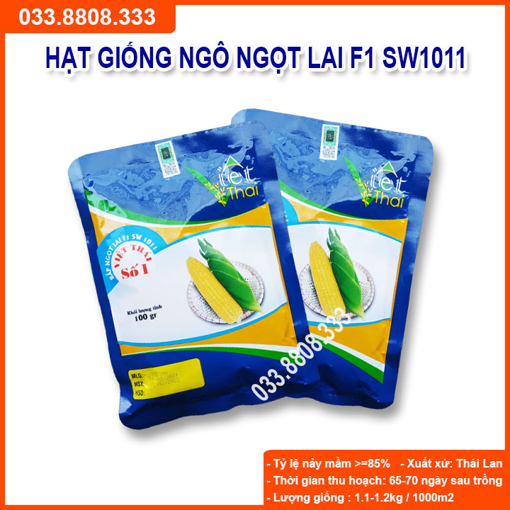 Hạt giống ngô ngọt việt thái sw1011 - giống ngô siêu năng suất