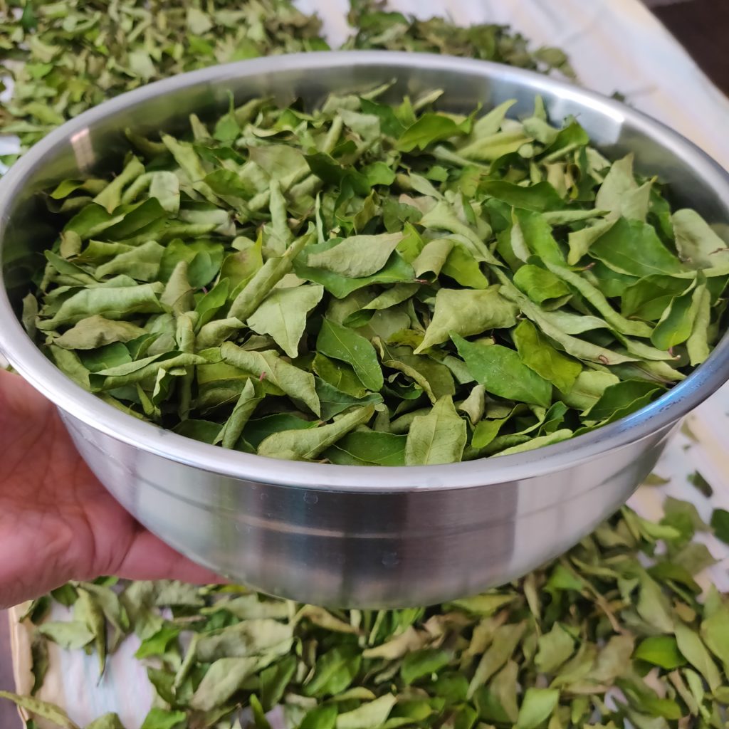 Curry Leaves - Là Cà Ri khô ( 100g)