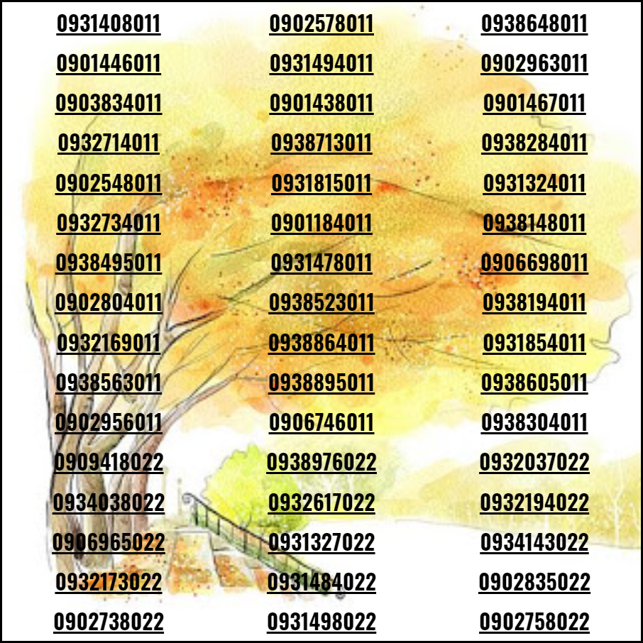[HCM]Sim số đẹp 4 phương sảnh tiến đẹp