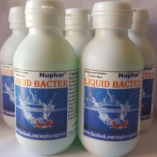 Dung dịch chống sốc nước cho cá Nuphar Liquid Bacter thumbnail