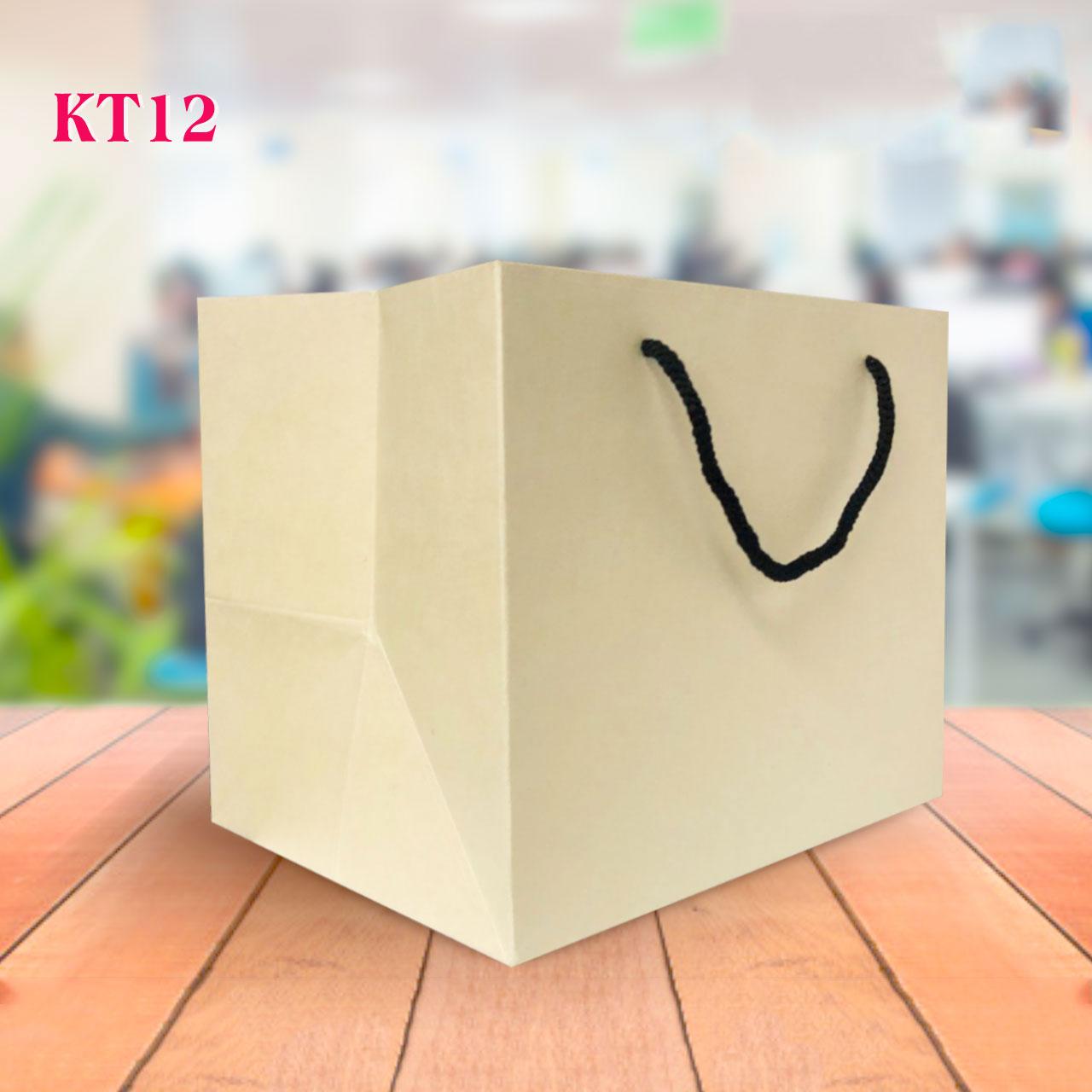 Combo 10 Túi Giấy trơn KT12 (KT: 18 x 22 x16cm)