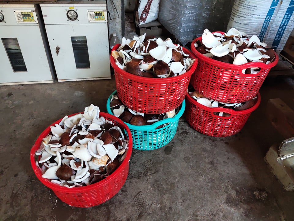 Combo 12ll dầu dừa nguyên chất 100%