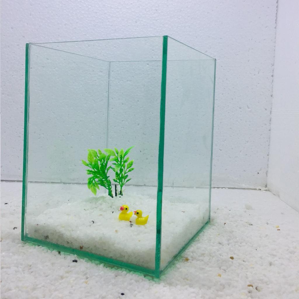 Bể cá mini để bàn , bể cá thủy sinh mini 18x18x23cm