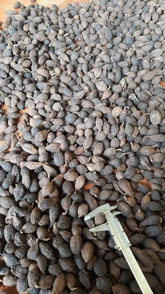 100g  Thảo Quả Khô Sạch