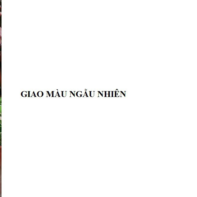 Váy ngủ pha ren xẻ sau cao cấp MS8000