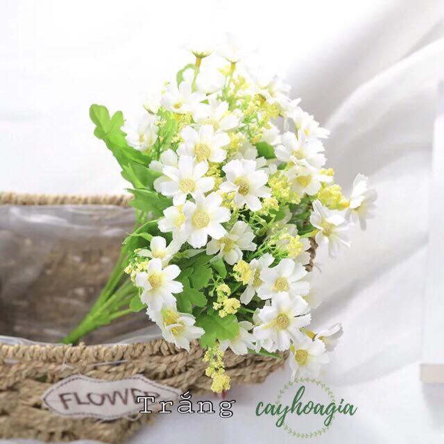 Combo Bình và 5 cành hoa cánh bướm