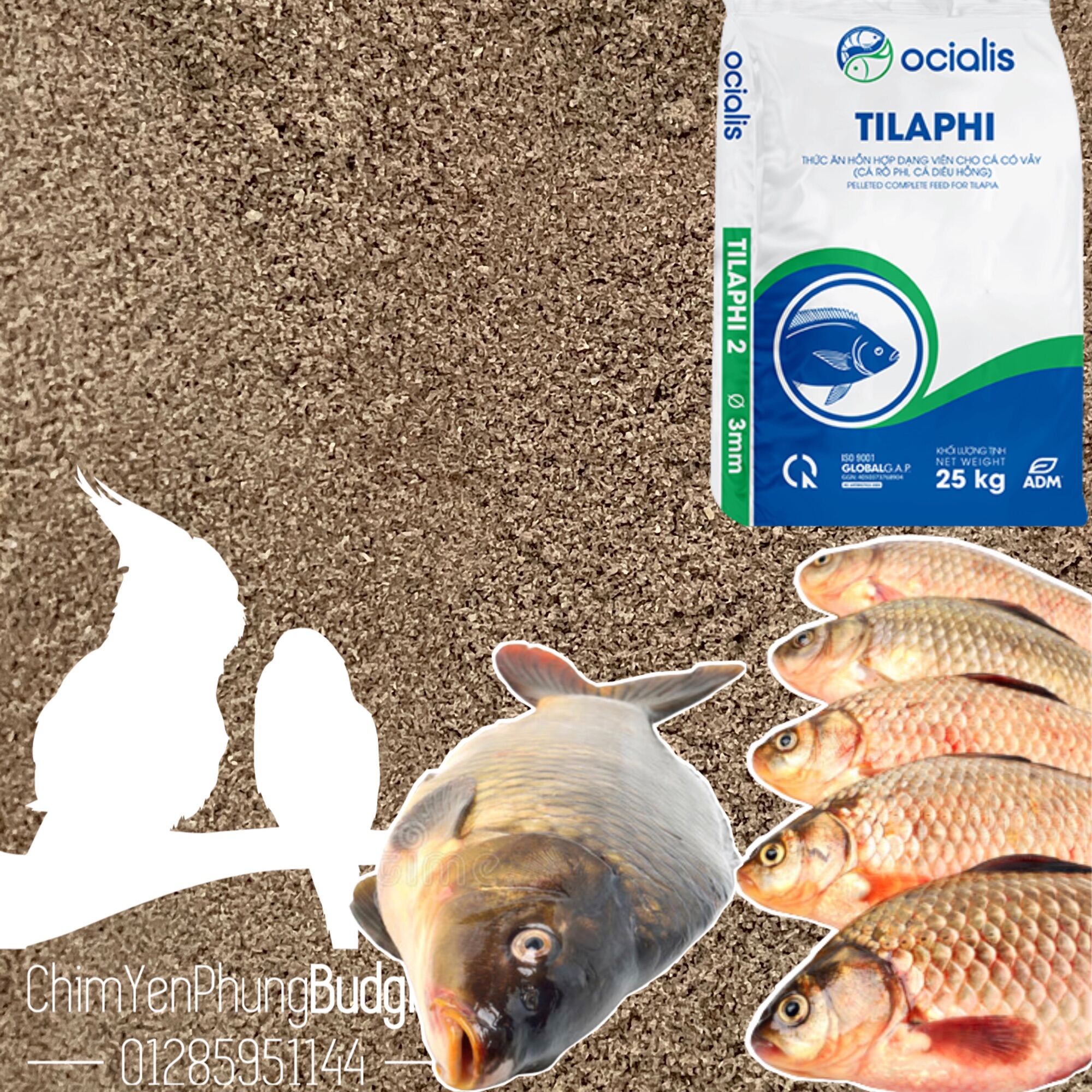 1kg cám xay ocialis tilaphi (PHÁP) thức ăn/làm mồi câu cho cá rô phi, diêu hồng, chép...