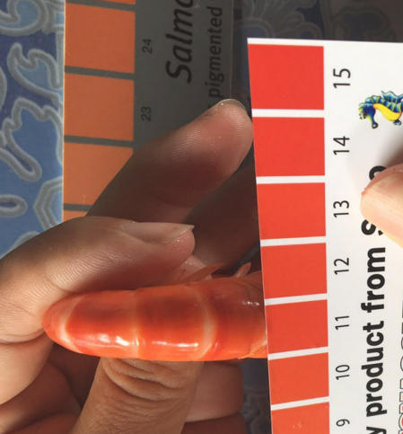 2 PCs colorful shrimp ruler and size shrimp tag (plastic plywood)