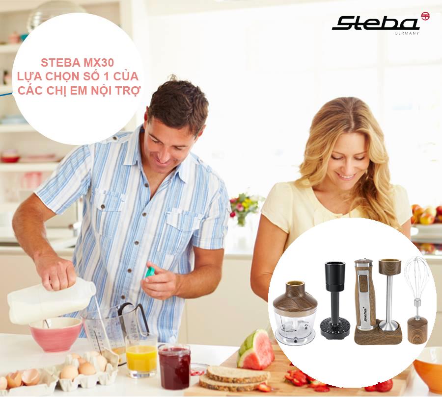 Máy xay đa năng cầm tay STEBA MX30