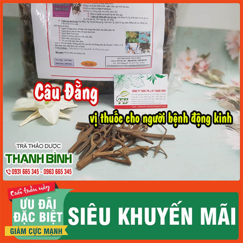 Câu đằng khô 100g hàng cty- dược liệu thanh bình