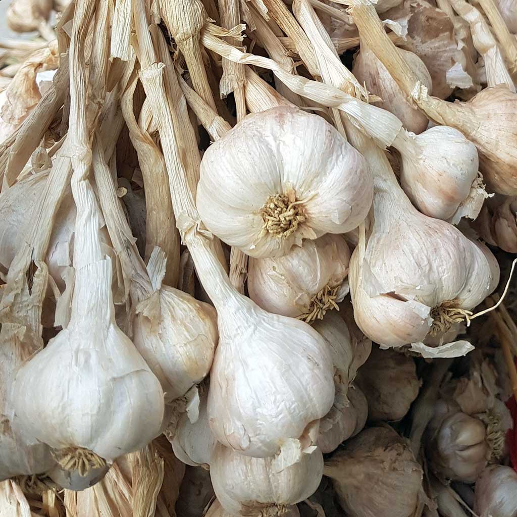 Tỏi ta phi 1kg, tỏi bắc