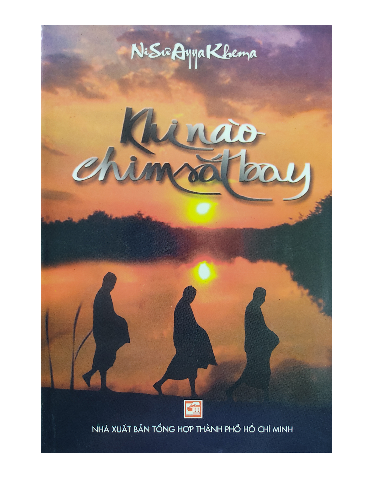 Sách - Khi Nào Chim Sắt Bay