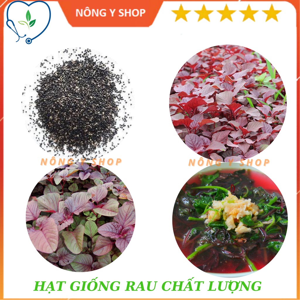 (Túi zip ~300 hạt - Trồng thử) - Hạt giống rau dền đỏ Rạng Đông RADO 15