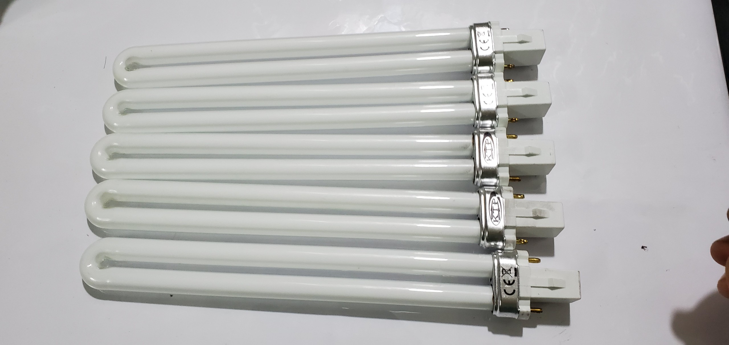 Bóng đèn bắt muỗi kiêm thuật phát (1 bóng 11w)