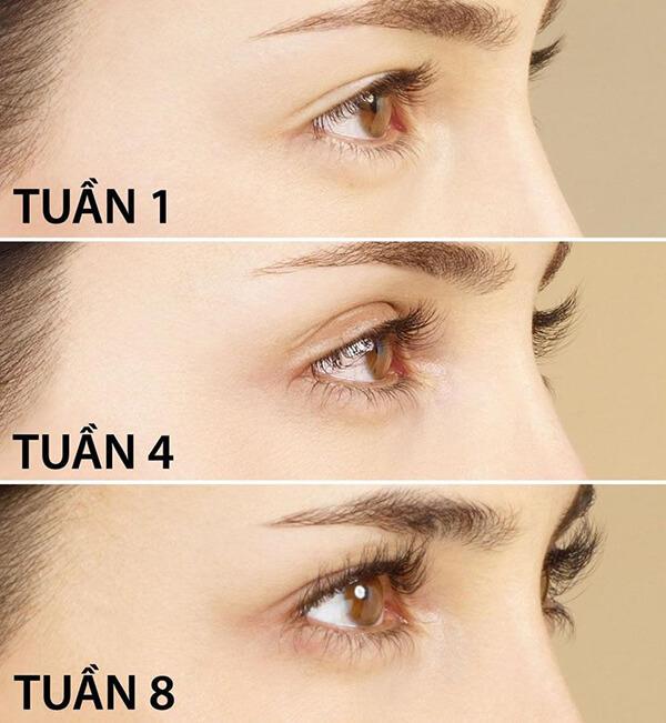 [HCM]Serum bôi mọc râu lông mày Genive Thái Lan