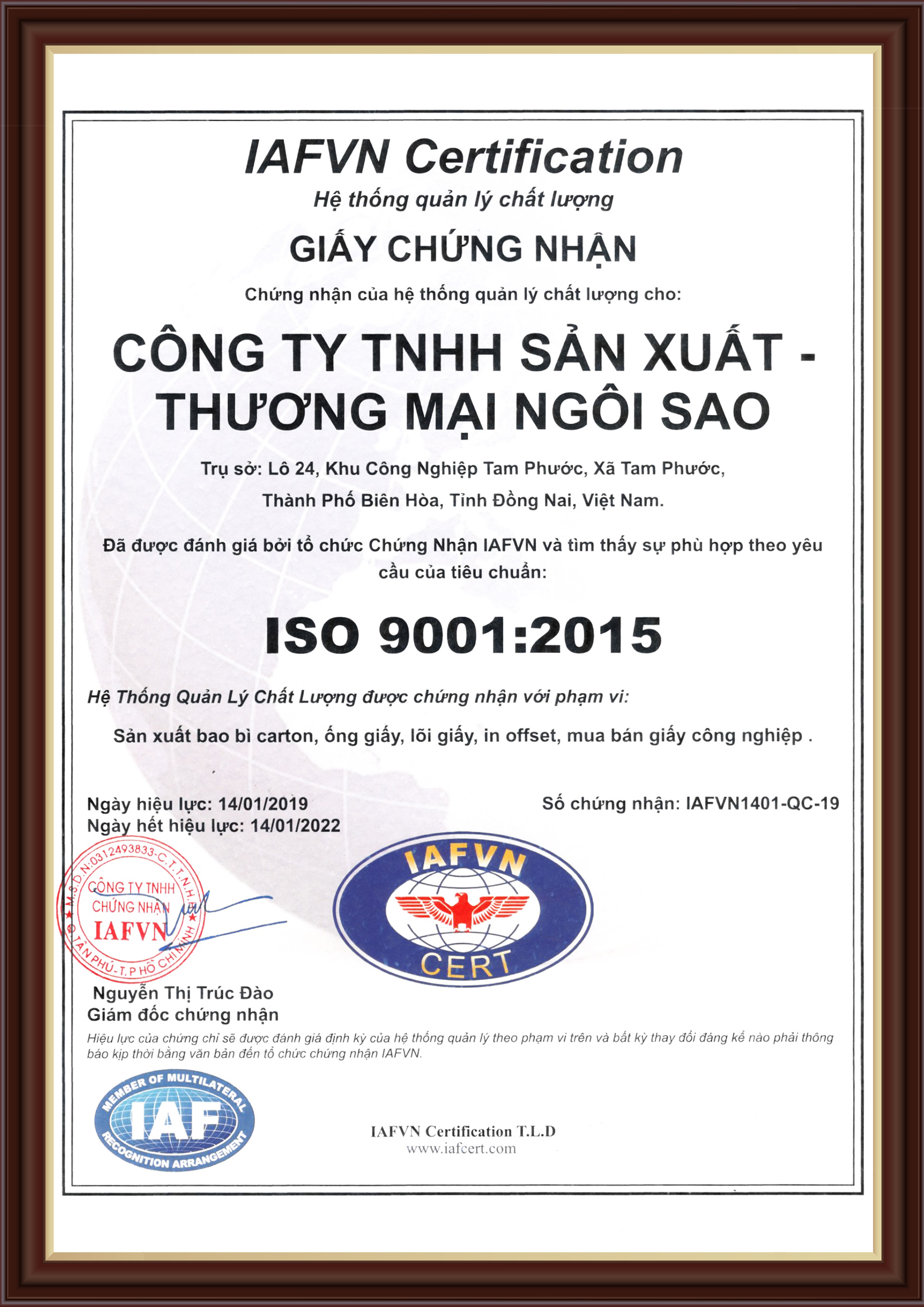 Ly giấy 16oz~472ml - Lốc 50 ly giấy trơn