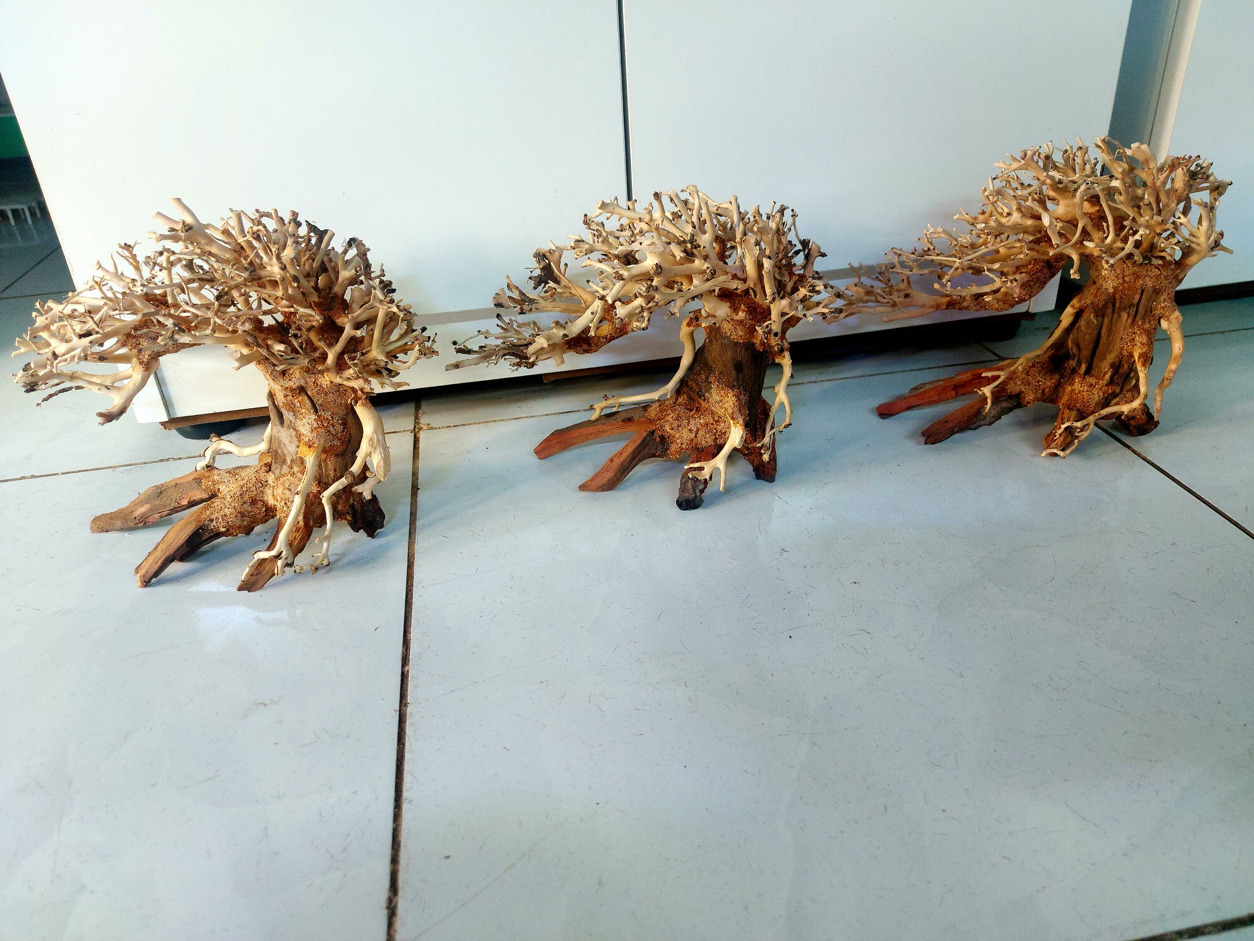 LŨA BONSAI MINI KÍCH THƯỚC 12X15 VÀ 15X20 CHO HỒ THUỶ SINH (Hồ < 40cm)