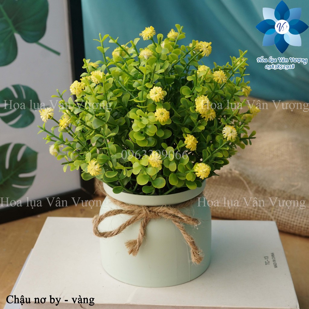 Hoa Giả Chậu Hoa Nhựa Để Bàn