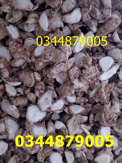 Củ xá kén/xá kiếng khô 0.5kg