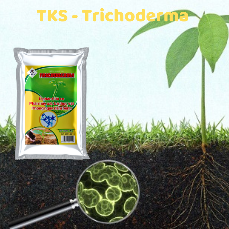 (1kg) Nấm Đối Kháng TRICHODERMA - Cải Tạo Đất, Phòng Trừ Nấm Bệnh, Ủ Phân