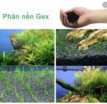 Phân nền thủy sinh Nhật Bản Gex xanh - Gex Đỏ