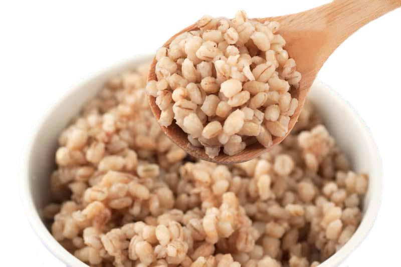 Lúa Mạch Tách Vỏ Pearl Barley 1 kg