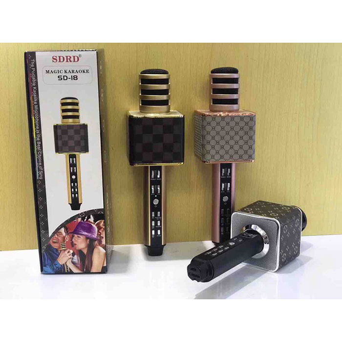 MIC KARAOKE 3IN1 SD 18