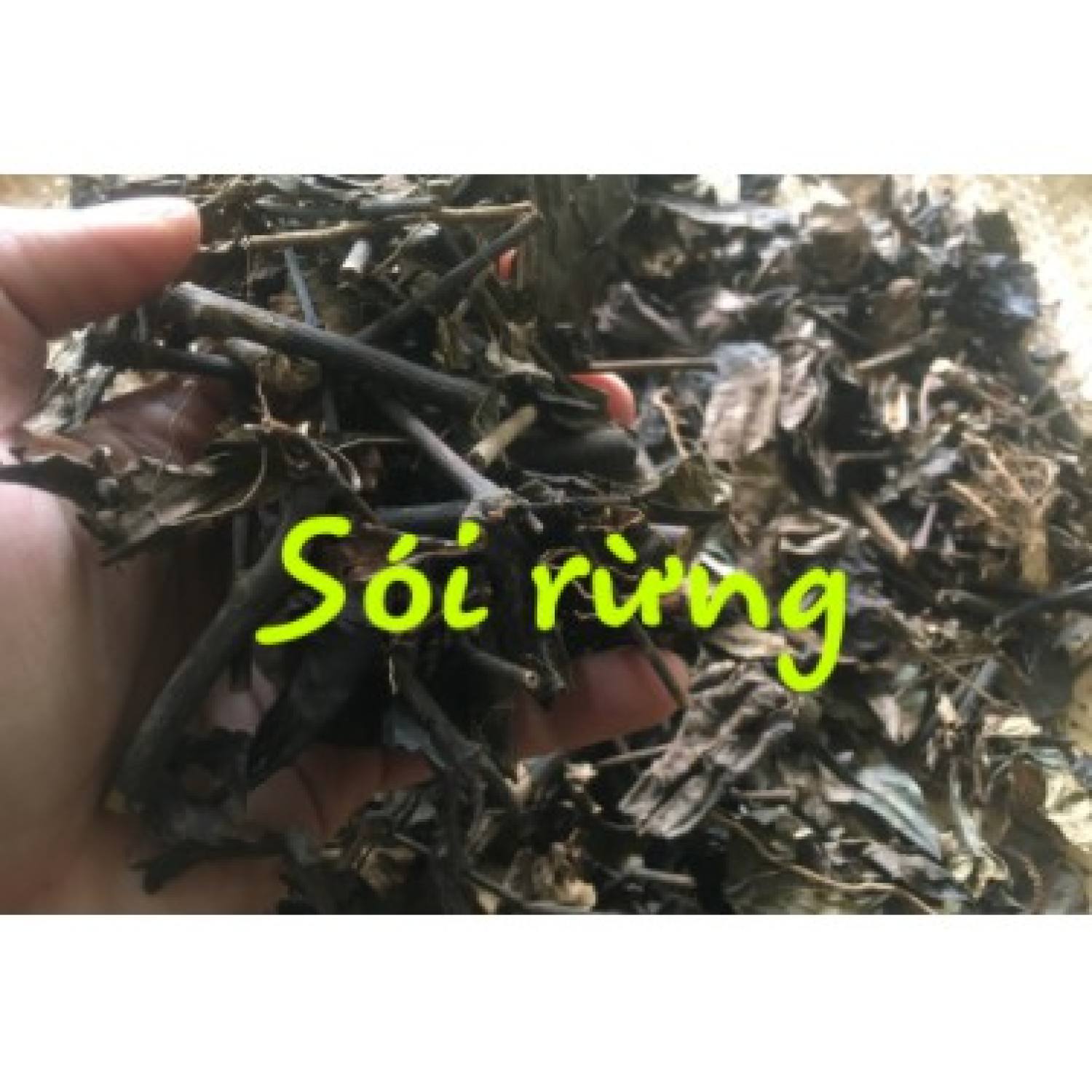 Cây sói rừng khô 1kg hàng chuẩn lᴏại 1