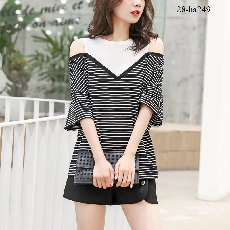 Ha249- Áo thiết kế phối màu cao cấp