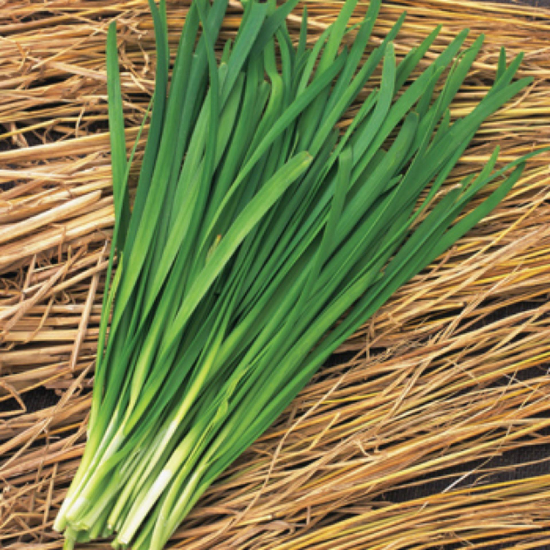 1g Hạt giống Hẹ