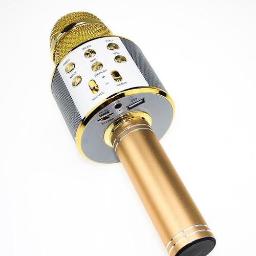 [HCM]Mic karaoke - Mic karaoke - Mic karaoke 858