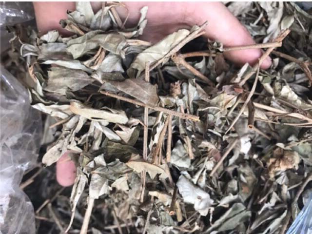 Dried Ginseng Leaves 200g - Delicious, Fragrant, Clean Tea of High Quality - Tan Phat Herbal Medicine