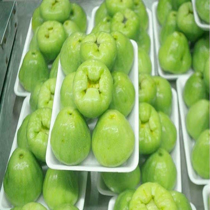 Cây giống mận xanh - C106