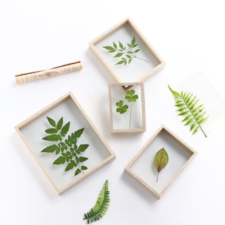 Khung ảnh để bàn, khung hình gỗ thông phong cách Hàn Quốc nhiều kích thước MS02