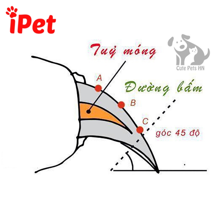 Kềm Cắt Móng Cho Chó Mèo Kèm Dũa - iPet Shop