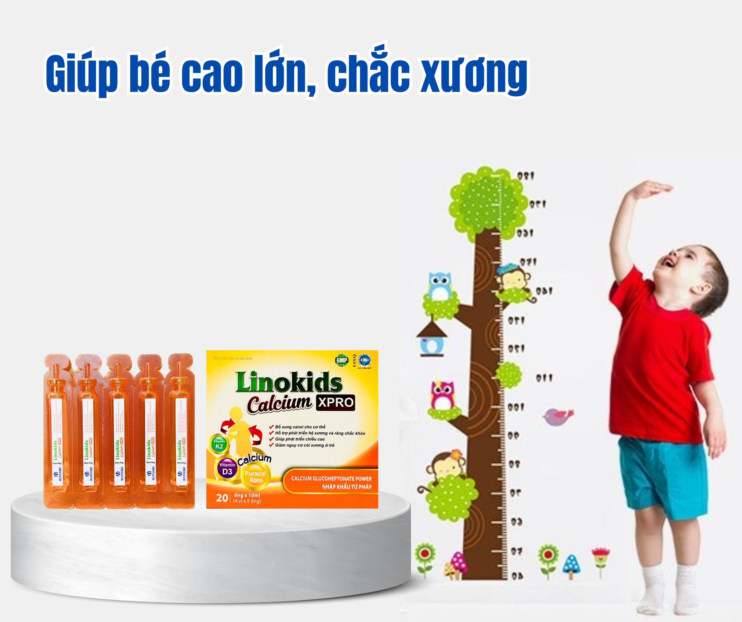 Linokids Calcium XPro high calcium for babies