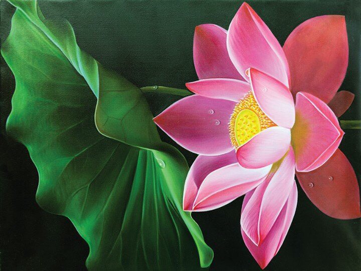 Tranh hoa sen 1 bông thanh tịnh thanh cao kèm khung