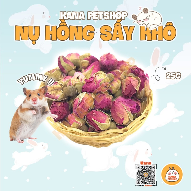 Bông Hồng Sấy Khô 🐹FREESHIP🐹 𝟮𝟬 𝗚𝗿𝗮𝗺 Nụ Hồng Sấy Khô Nguyên Bông Cho Thỏ, Bọ, Hamster